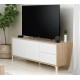 MUEBLE TV 2 PUERTAS y 2 CAJONES MOD. ALLAN